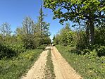 IMG_0638
