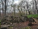 IMG_20250405_180254