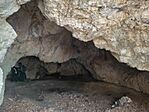 IMG_20250405_161531