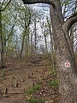 IMG_20250405_161749