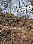 IMG_20250405_162049
