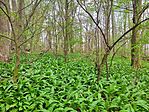 IMG_20250405_163212