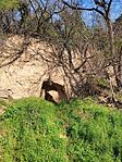 IMG_20250413_075528
