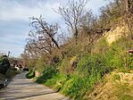 IMG_20250413_075609