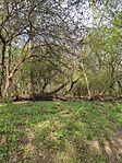 IMG_20250413_092504
