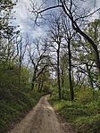 IMG_20250413_092515