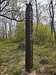 IMG_20250413_093119