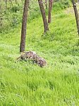 IMG_20250413_122217
