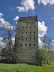 IMG_20250419_113723