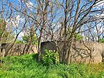 IMG_20250419_114619