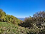 IMG_20250427_093040