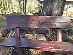 IMG_20250427_090639