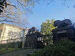 IMG_20250427_070853