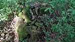 Facsonk_1745705112850