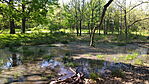 Dagonya_1746012045918
