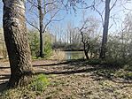 IMG_20250413_085128