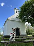 IMG_2856