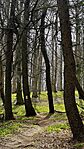 IMG_5042