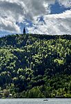 IMG_5266