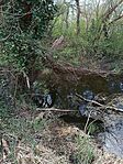 IMG_20250407_093357_191_resize_resize_2