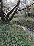 IMG_20250407_094138_742_resize_resize_2