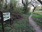 IMG_20250407_094153_995_resize_resize_2