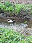 IMG_20250407_094032_318_resize_resize_2