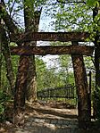 IMG_20250423_091636