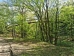IMG_20250420_161517