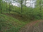IMG_20250420_163046