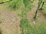 IMG_20250420_161713