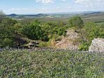 IMG_20250420_132746