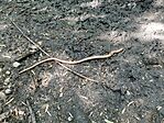 IMG_20250420_130335