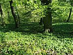 IMG_20250420_103601