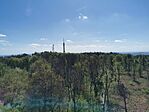 IMG_20250420_111008