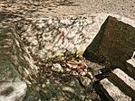 IMG_20250420_094847