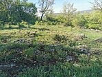 IMG_20250420_090848