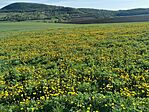 IMG_20250420_084048