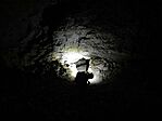 IMG_20250417_135138