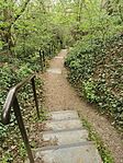 IMG_20250413_165414