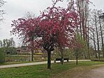IMG_20250413_113120