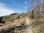 IMG_20250411_104121