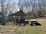IMG_20250411_110208
