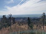 IMG_20250411_112218