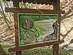 IMG_20250411_085634