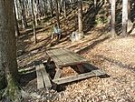 IMG_20250411_094010
