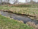 IMG_20250410_142703