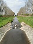 IMG_20250410_143439