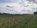 IMG_20250410_134705