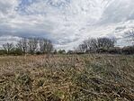 IMG_20250410_135622